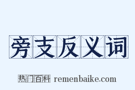 旁支反义词是什么意思的图片